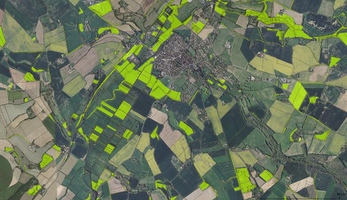 identification of plots available for implantation