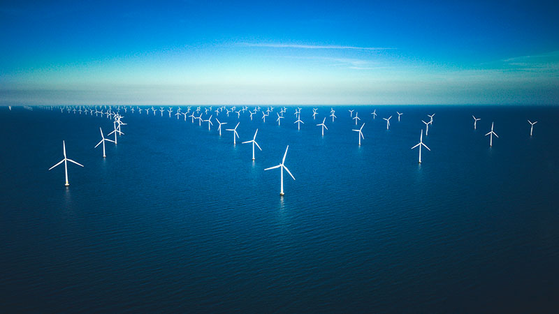 Offshore wind field