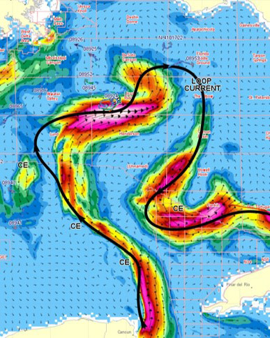 Metocean forecast