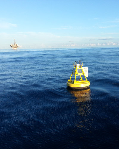 metocean in si-tu systems