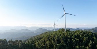 Wind resource assessment in highly forested areas