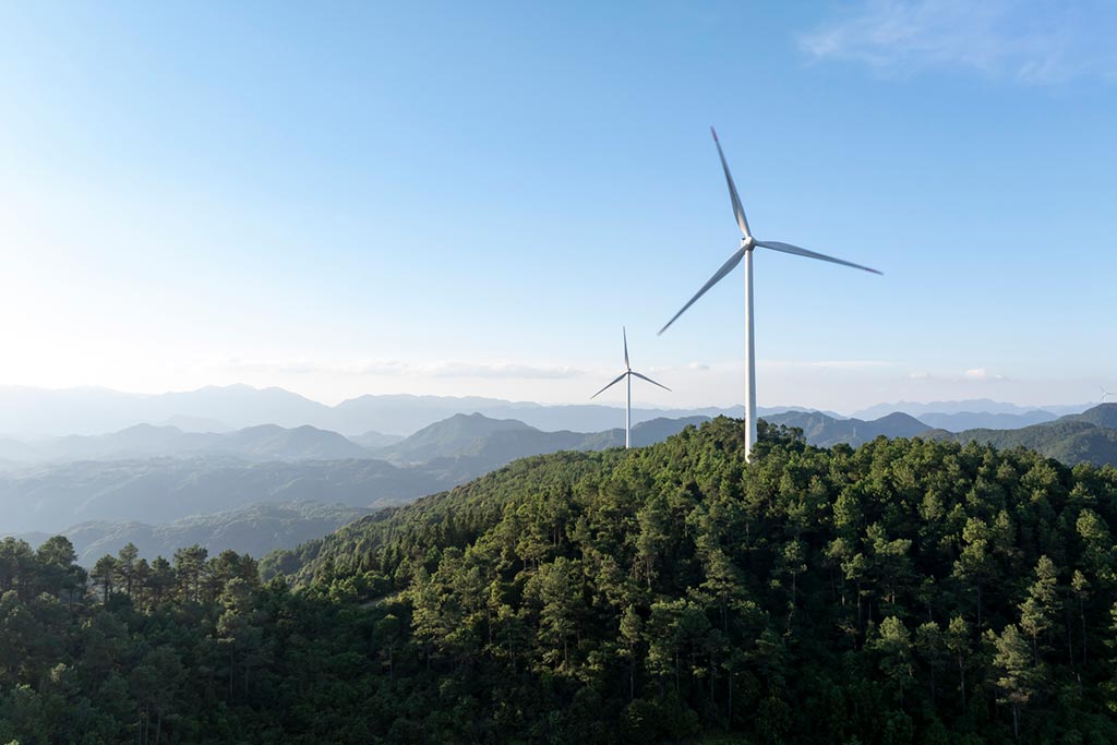 Wind resource assessment in highly forested areas